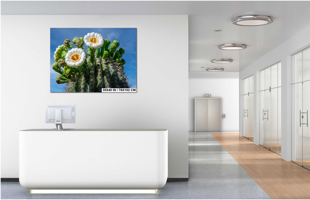 Saguaro Cactus Flower Close Up Saguaro National Park Tucson Arizona Wall Art Photography Print, Sonoran Desert Bloom Macro, Nature Decor