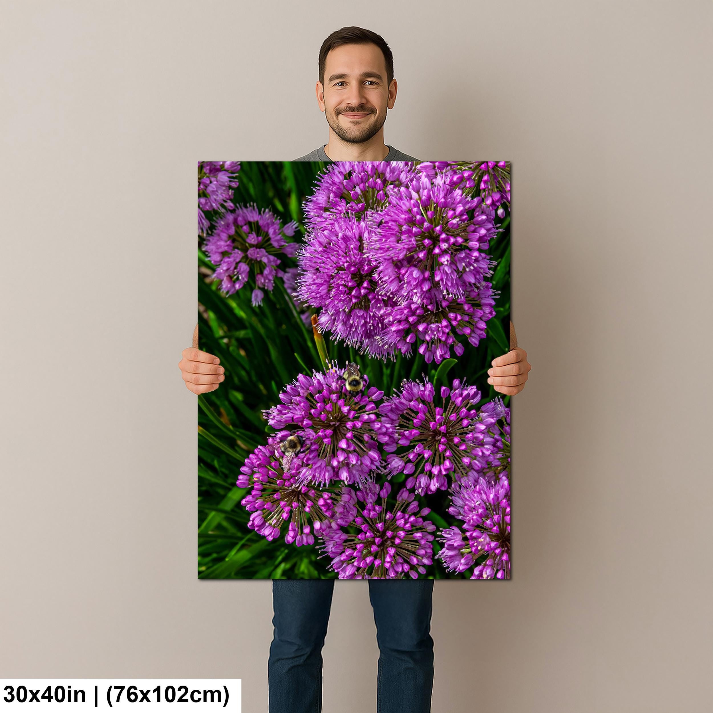 Purple Allium Blooms: Botanical Macro Flower Garden Photography Wall Art