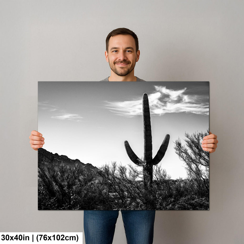 Desert Sentinel: Saguaro Cactus Oro Valley AZ Black White Photo Wall Art