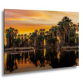 Agua Caliente Palm Grove Sunset Reflection - Tucson Arizona Photography Print