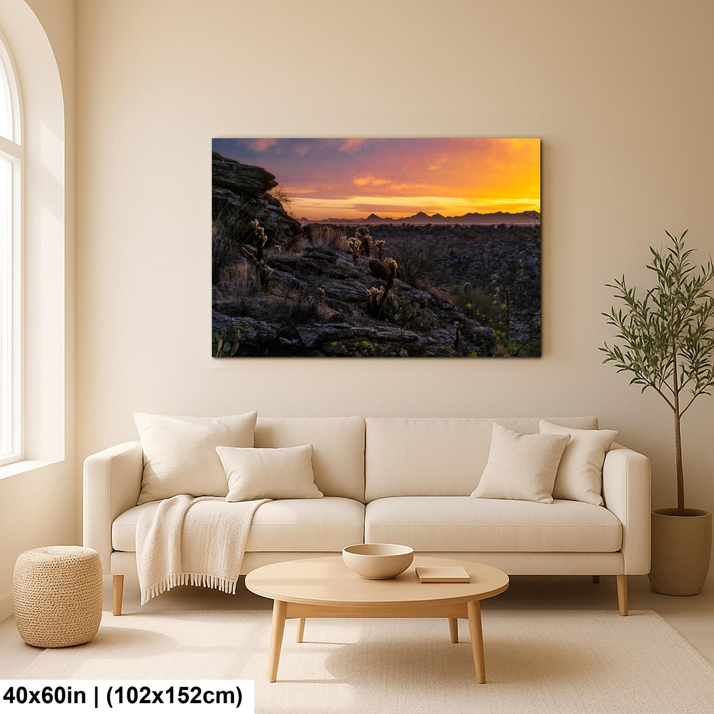 Sonoran Desert Sunset with Cholla and Saguaros - Casa Grande Arizona Photography Print