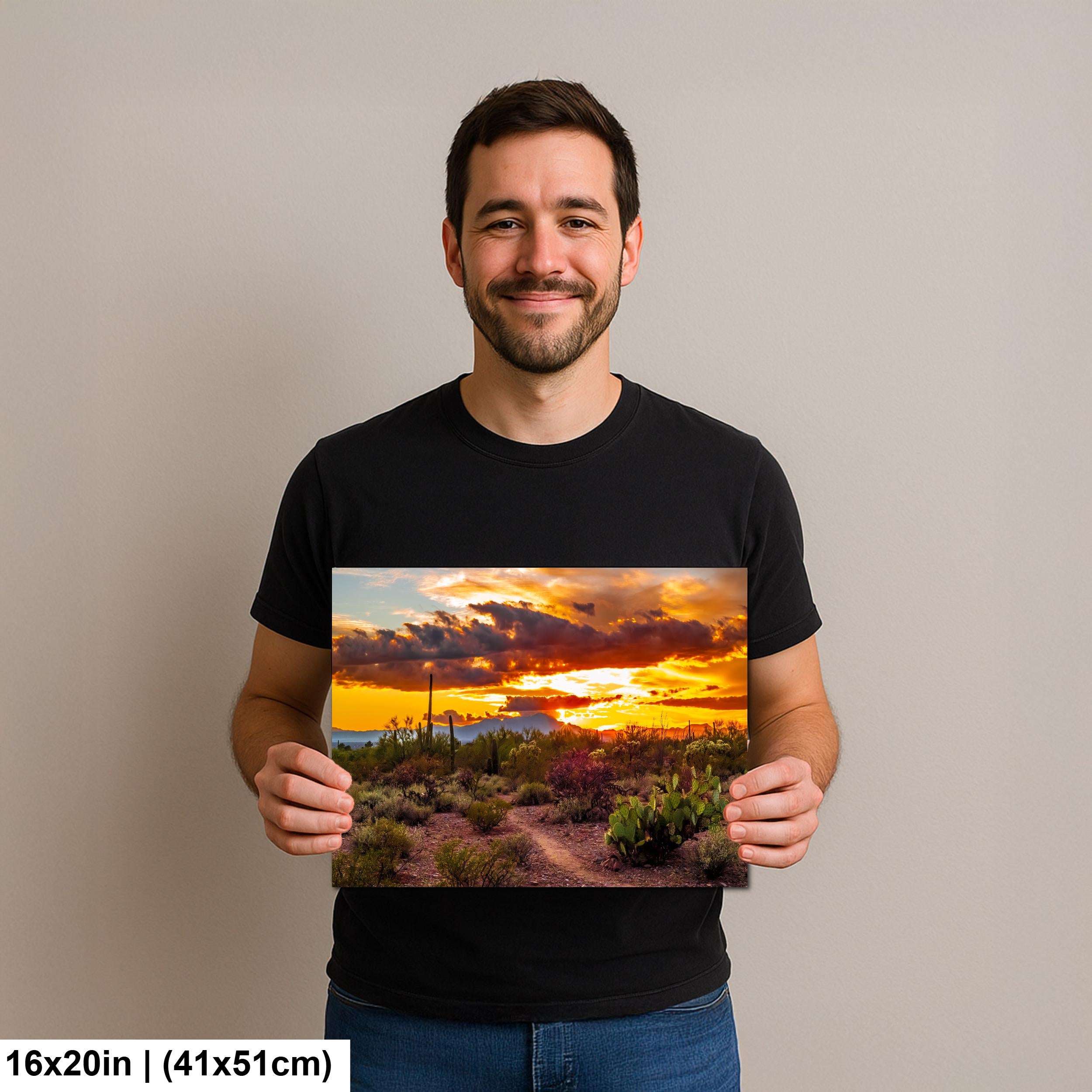 Fiery Sonoran Desert Sunset with Cactus, Tucson Mountain Park Arizona Photography Wall Art