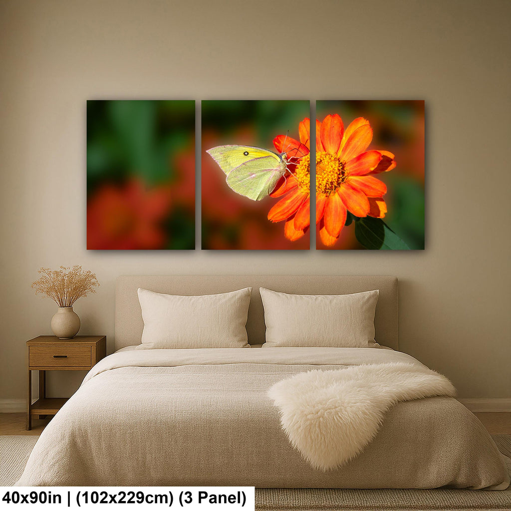 Gentle Landing: Butterfly on Flower Mt. Lemmon Arizona Photography Wall Art