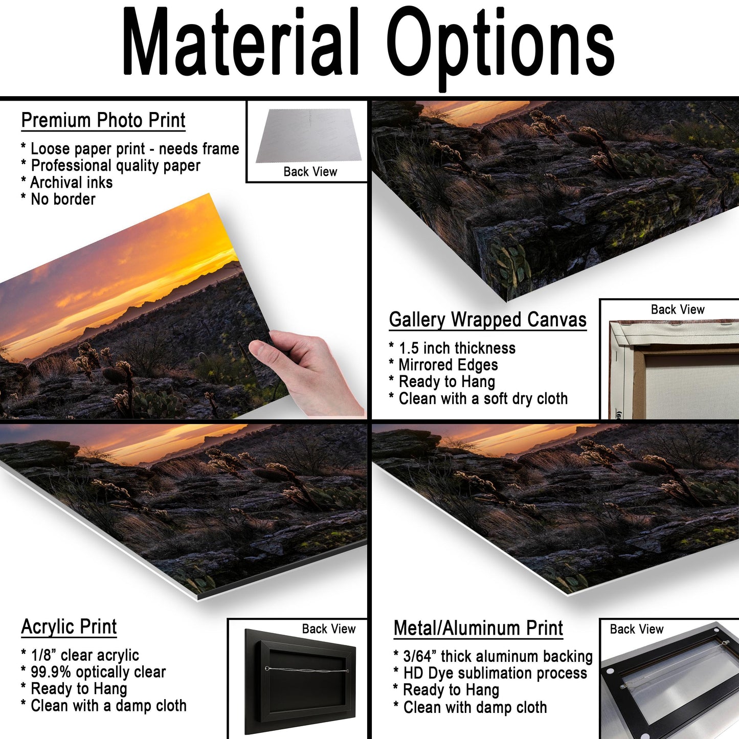 Sonoran Desert Sunset with Cholla and Saguaros - Casa Grande Arizona Photography Print