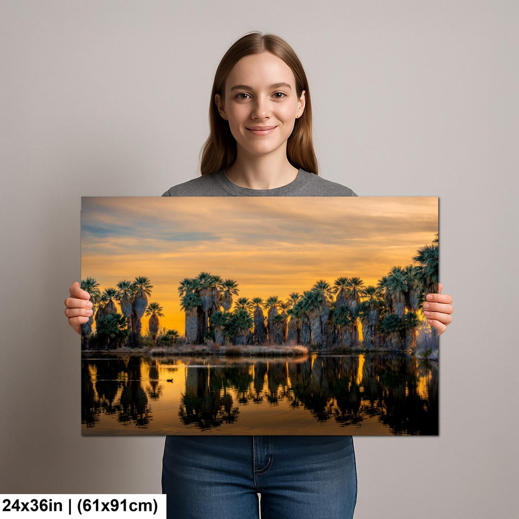 Agua Caliente Desert Palm Oasis Sunset Tucson Arizona Photography Print