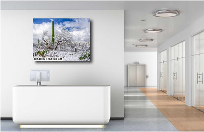 Saguaro Desert Wall Art – Winter Cactus Print | Tucson Arizona Snow Scene Decor