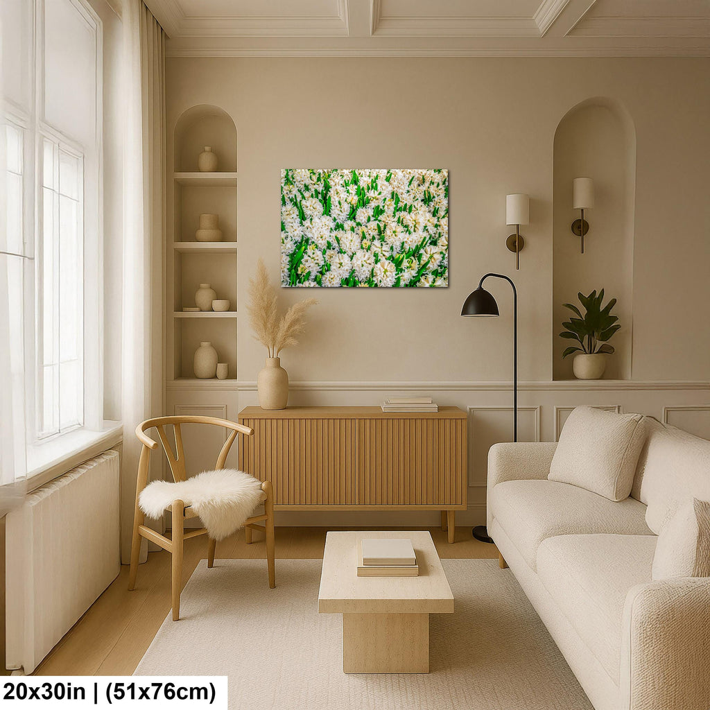 Spring Whites: White Hyacinth Flowers Botanical Photography Wall Art