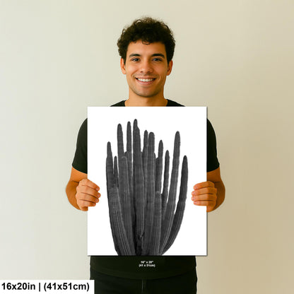 Organ Pipe Cactus Arizona National Monument Black and White Desert Nature Photography Wall Art