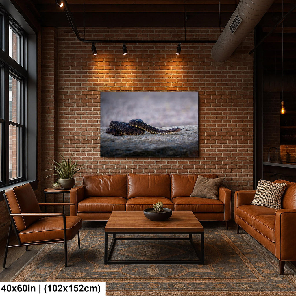 Black Rattlesnake Print - Arizona Desert Wildlife Art | Fine Canvas Wall Decor