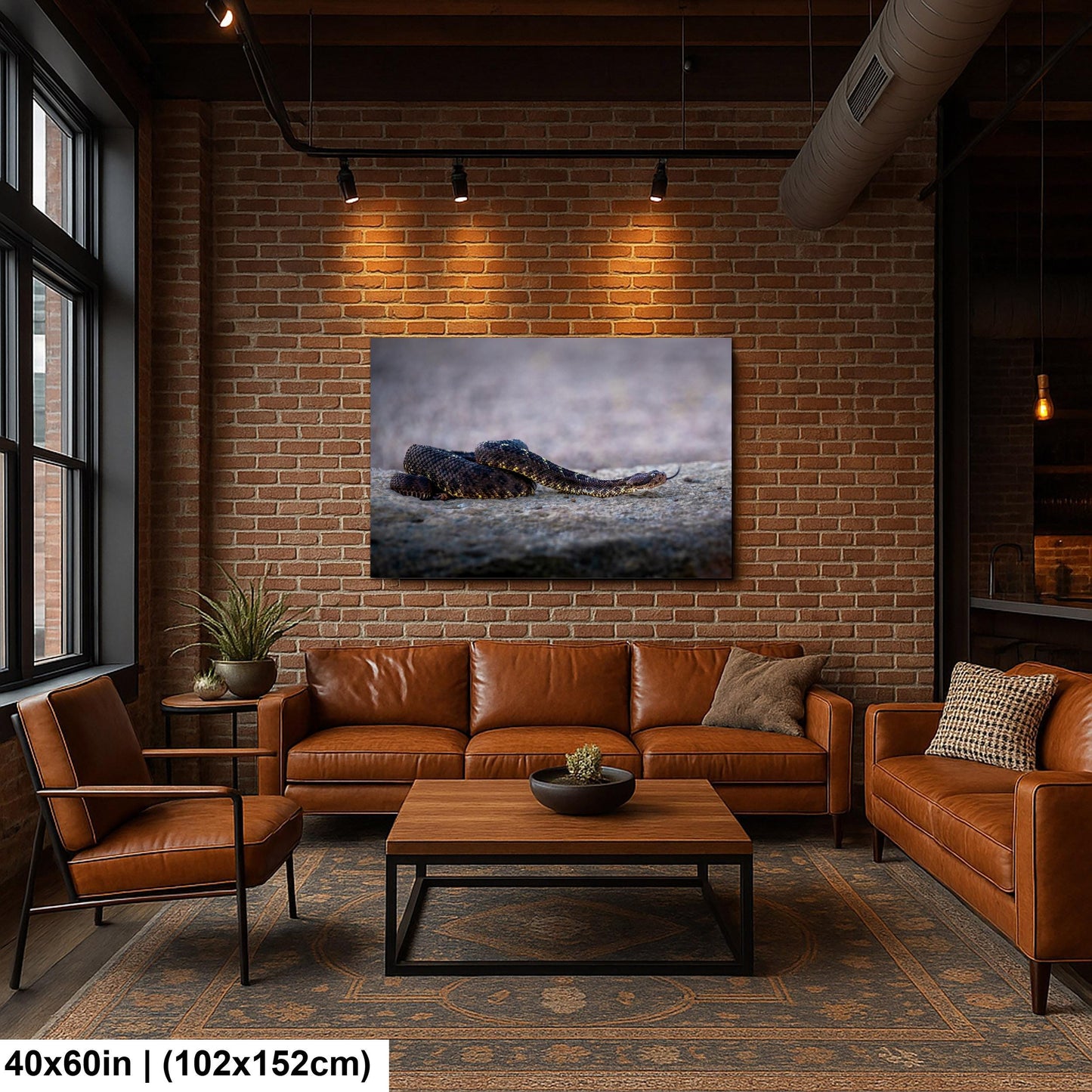 Black Rattlesnake Print - Arizona Desert Wildlife Art | Fine Canvas Wall Decor