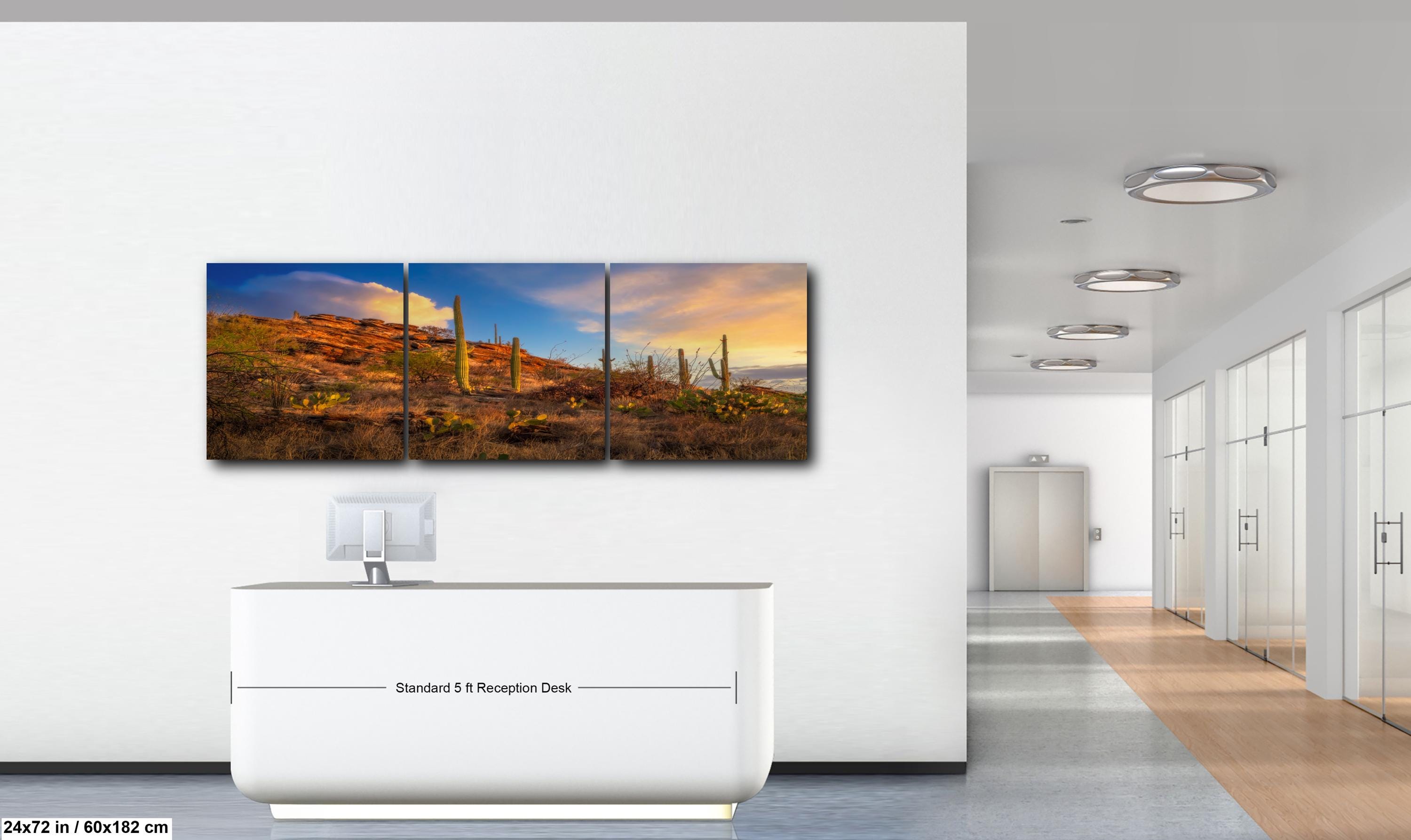 Sonoran Desert Sunset on Rocky Hillside - Saguaro National Park East Tucson Photography Print