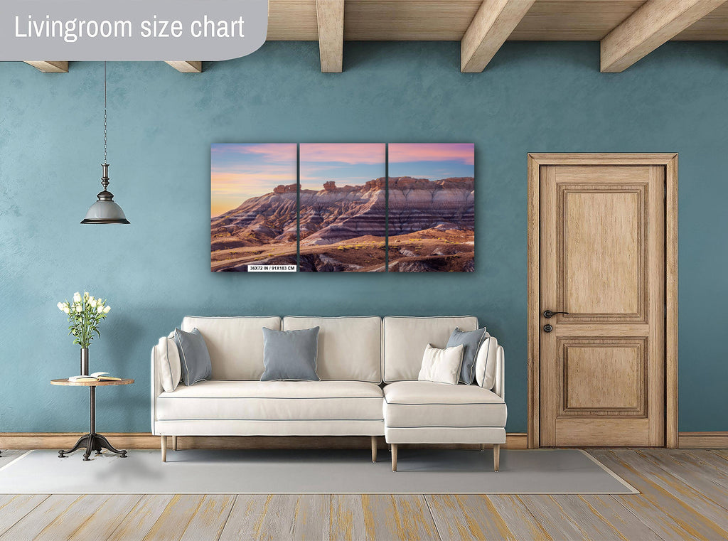 Petrified Forest Arizona Landscape Photography Wall Art Photography