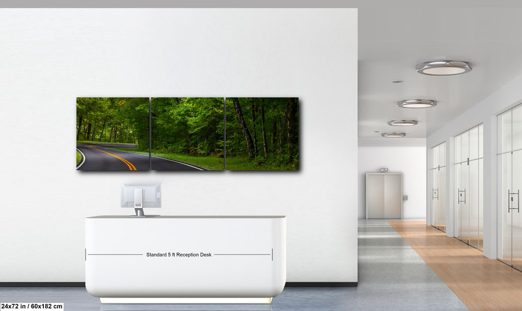 Forest Passage: Curved Road Great Smoky Mountains National Park Wall Art