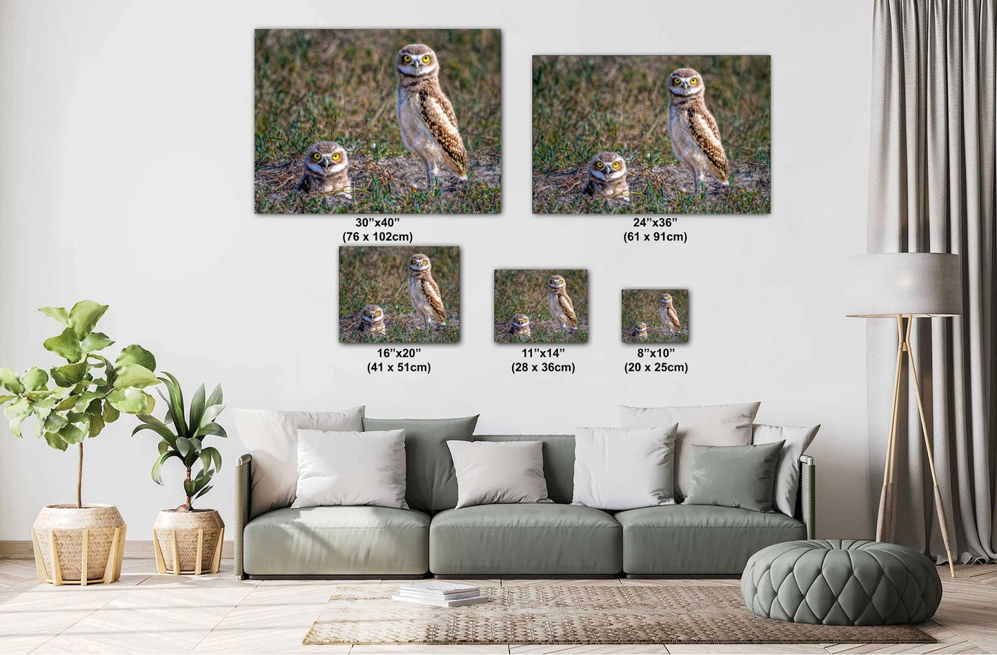 Burrowing Owls Pair Badlands National Park South Dakota Wildlife Photography Print Wall Art, Nature Bird Photo