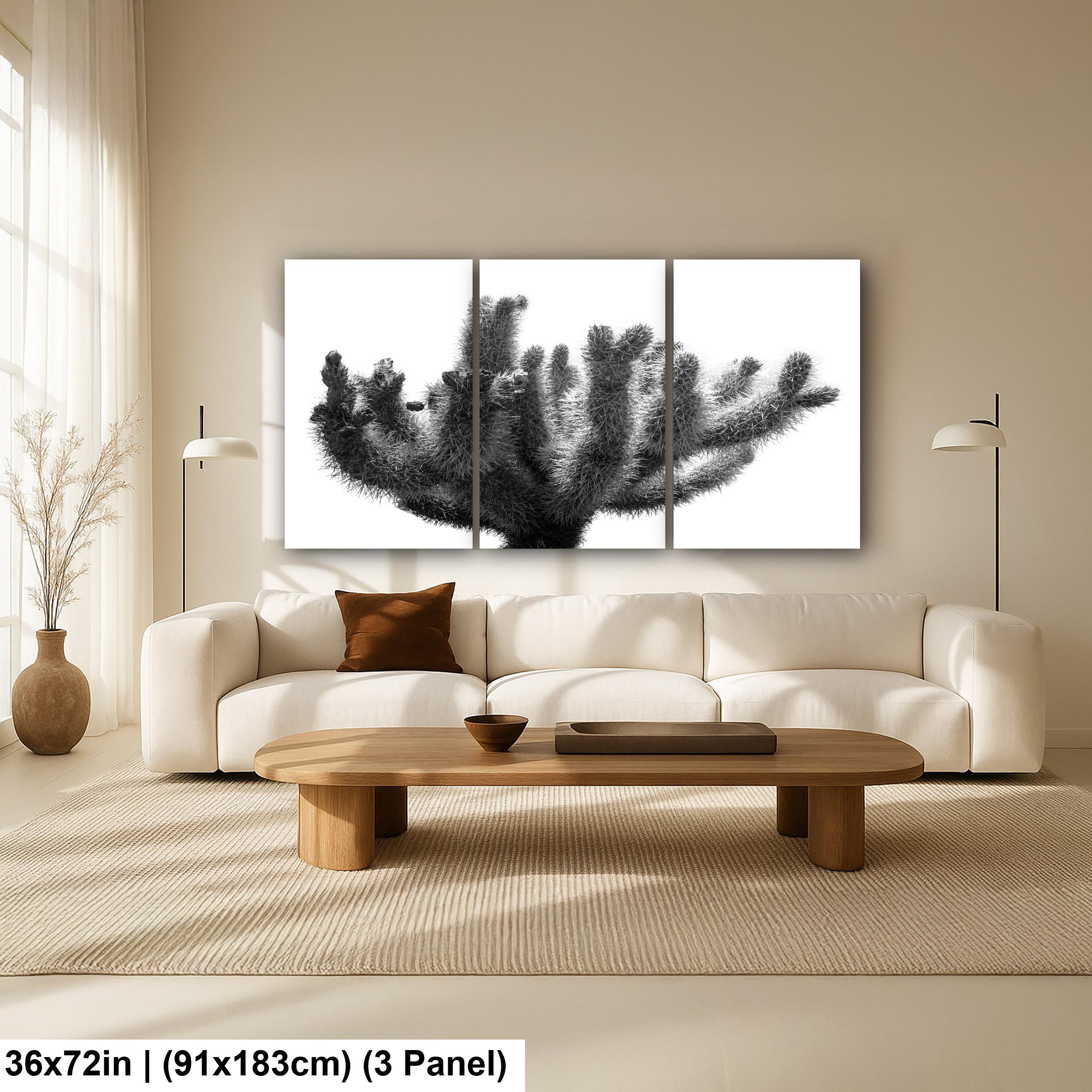 Joshua Tree Cholla Cactus Print: Black and White Desert Photography