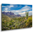 Sonoran Desert Valley with Saguaros and Mountains - Catalina State Park Tucson Arizona Photography Print