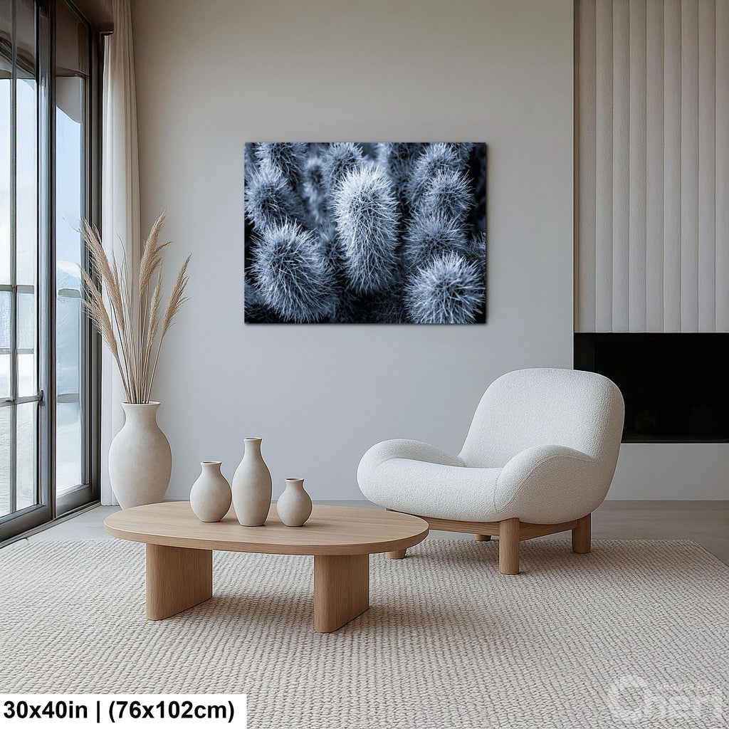 Cholla Cactus Spines Black and White - Saguaro National Park East Tucson Photography Print