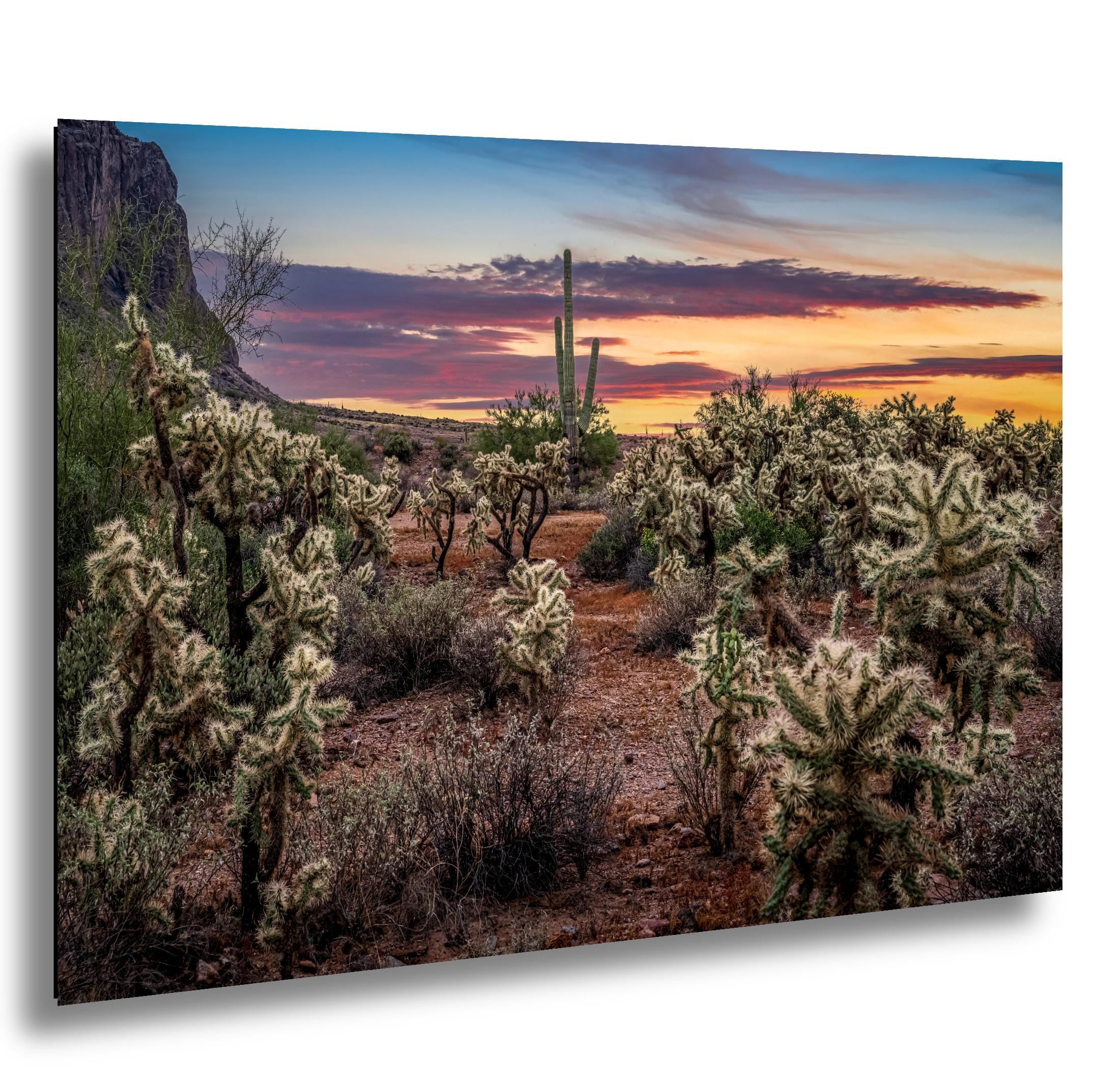 Desert Sunset Photograph, Cholla Cactus and Saguaros, Arizona Landscape Wall Art