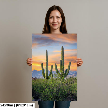 Desert Sunset with Giant Saguaros Photography Print, Tucson Arizona Wall Art, Southwest Landscape Decor