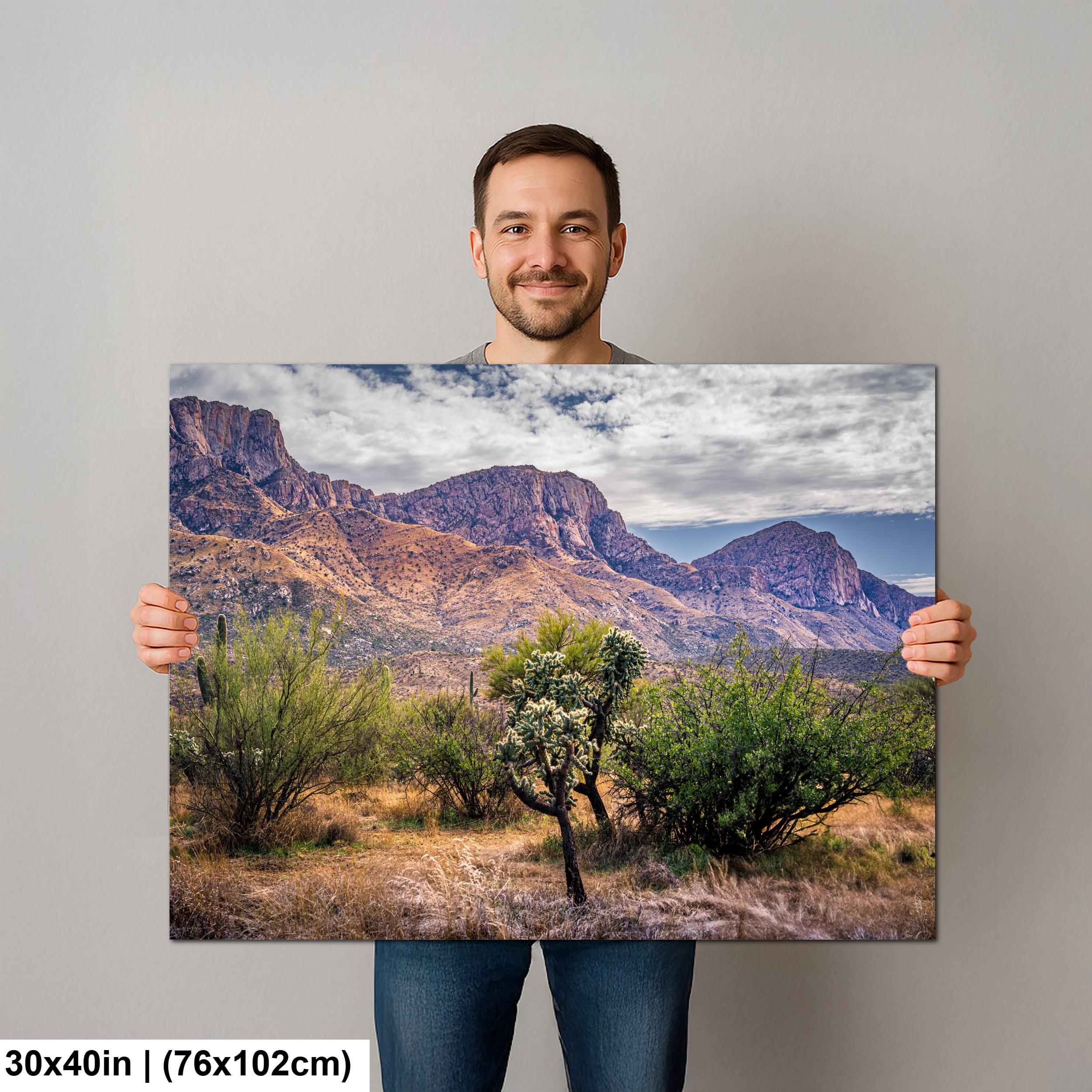 Catalina Mountains Scenic View Arizona Desert Sonoran Landscape Nature Photography Wall Art