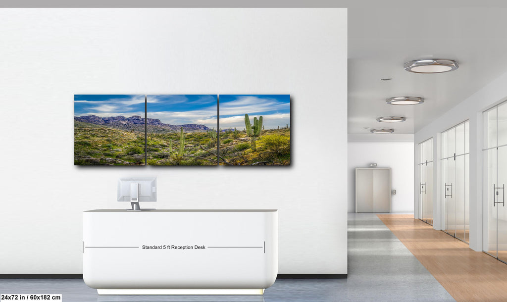 Sonoran Desert Valley with Saguaros and Mountains - Catalina State Park Tucson Arizona Photography Print