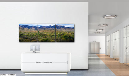 Catalina State Park Saguaros with Rocky Mountain Peaks - Tucson Arizona Sonoran Desert Photography Print