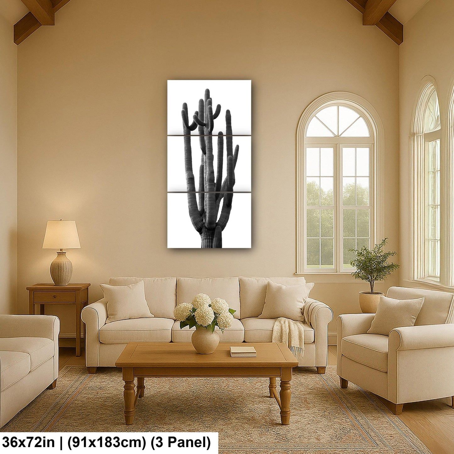 Towering Cactus Catalina State Park Arizona Black White Desert Wall Art