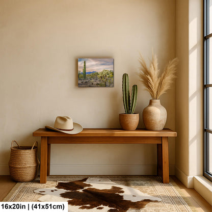 Saguaro and Cholla Desert Landscape, Tucson Arizona Photography Print, Southwest Wall Art, Sonoran Desert Decor
