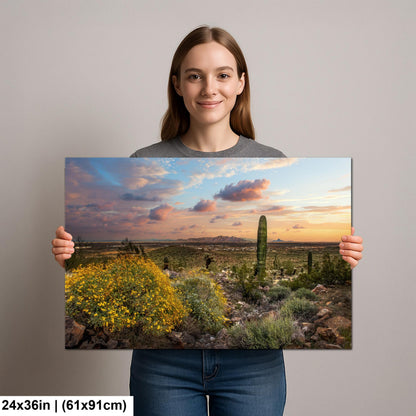 Arizona Sunset Overlook with Saguaros and Wildflowers - Casa Grande Sonoran Desert Photography Print
