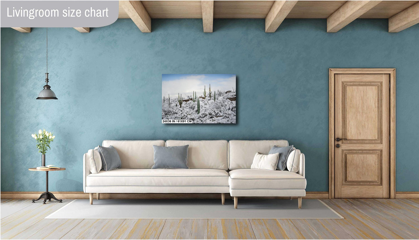 Desert Giants in Winter White: Saguaro National Park Print Wall Art Tucson Cactus Snow Landscape Photography Aluminum/Acrylic/Metal/Canvas