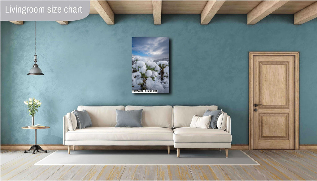 Snowy Cholla Cactus Print: Saguaro National Park Winter