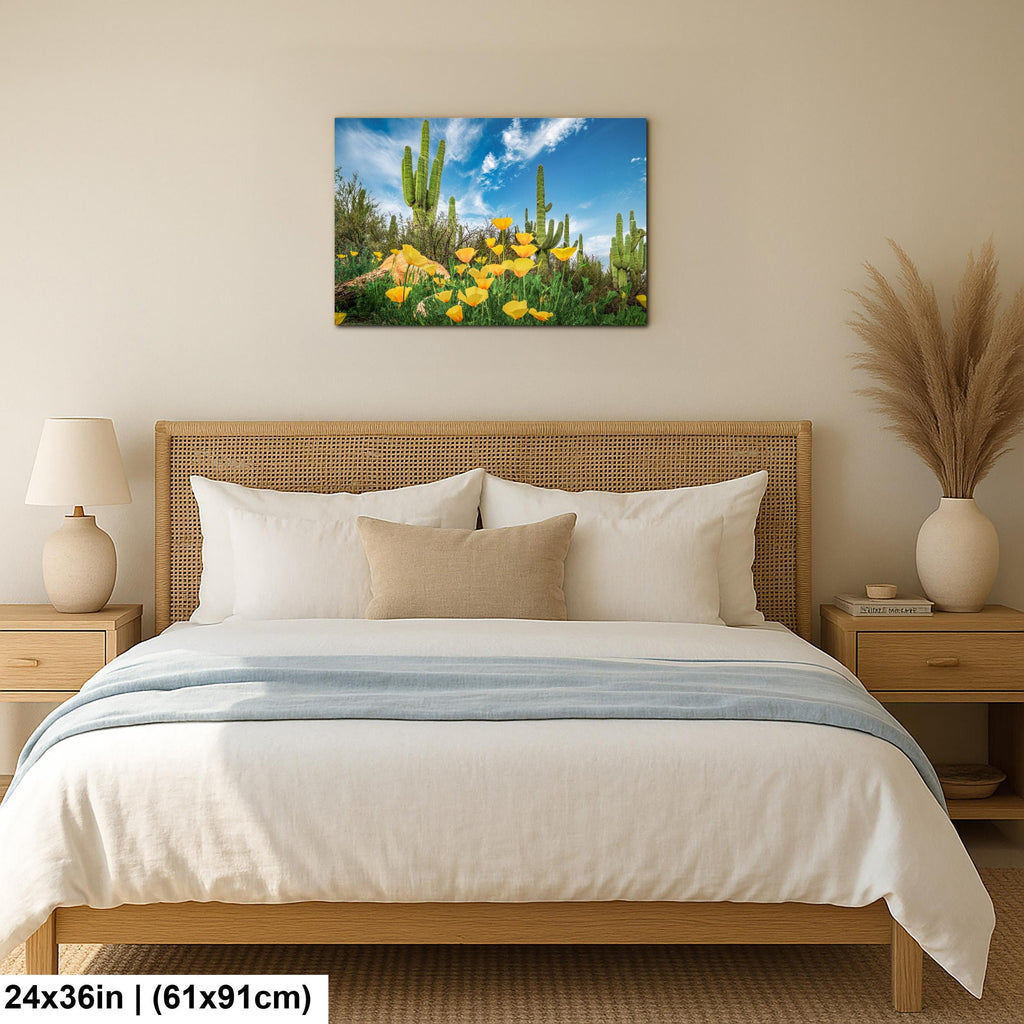Sonoran Desert Yellow Poppies with Saguaros - Catalina State Park Tucson Arizona Photography Print