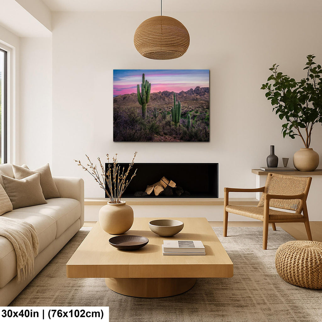 Sonoran Desert Sunset with Saguaros - Catalina State Park Tucson Arizona Photography Print