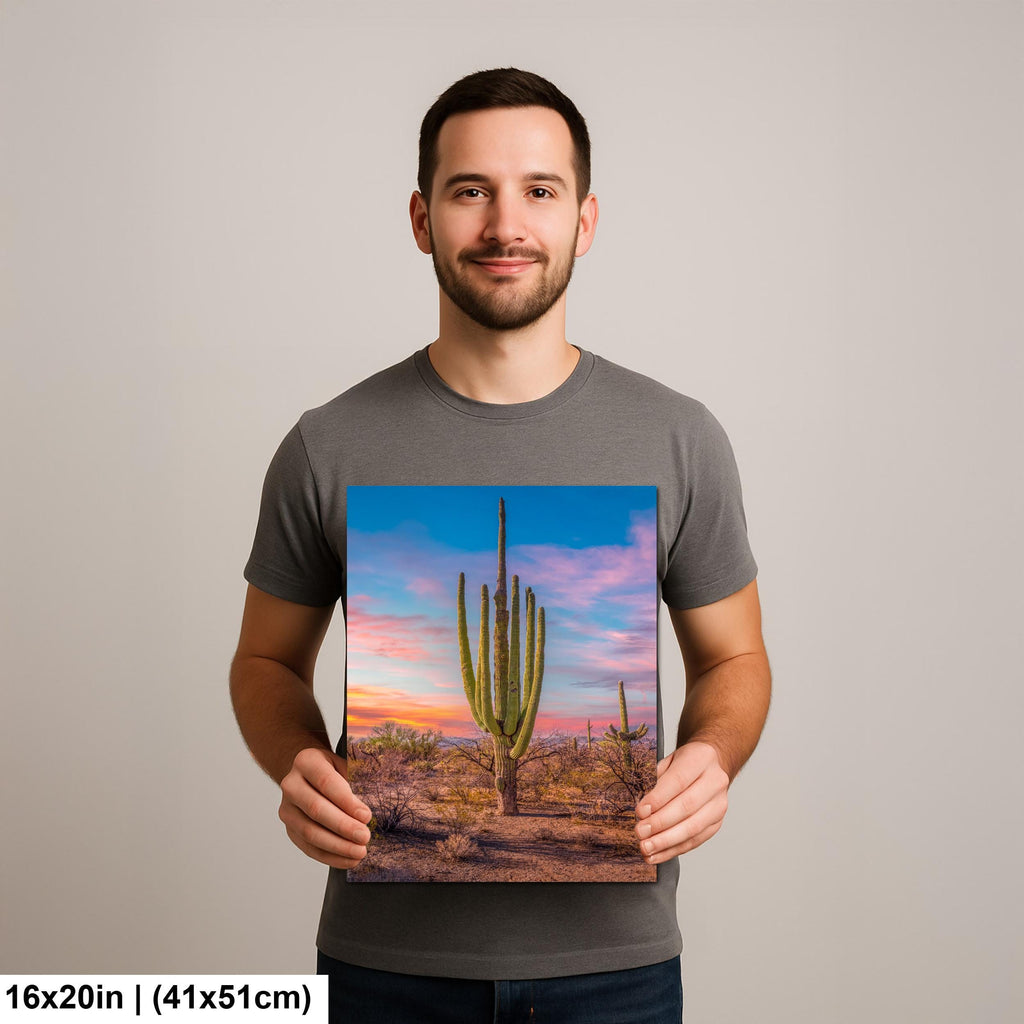 Multi-Arm Saguaro at Sunset - Saguaro National Park East Tucson Arizona Photography Print