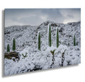 Saguaro National Park Winter Snow Photography Print: Tucson Desert Wall Art