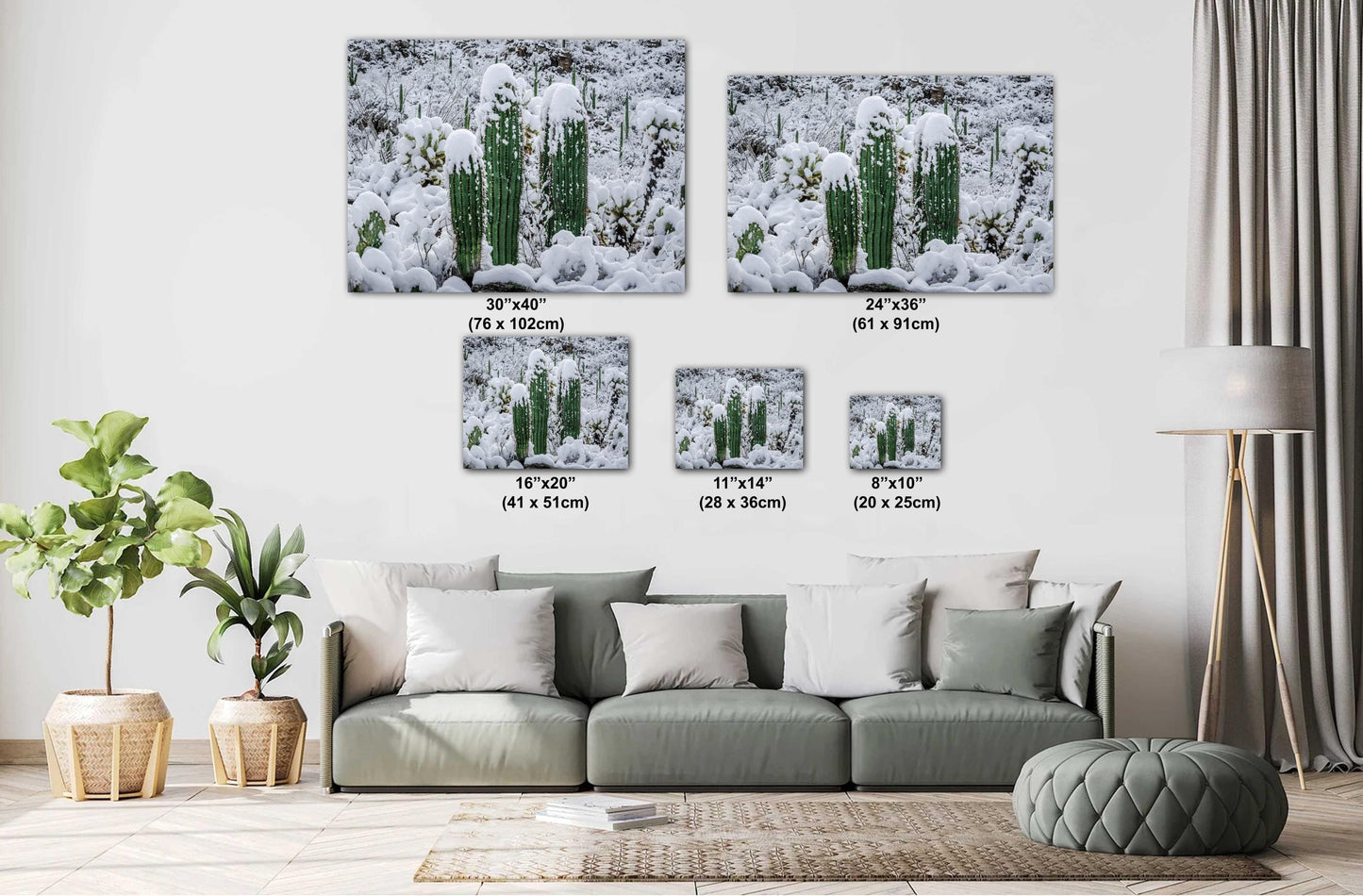 Saguaro Cactus Photography: Black and White Desert Minimalist Wall Art