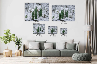 Saguaro Cactus Photography: Black and White Desert Minimalist Wall Art