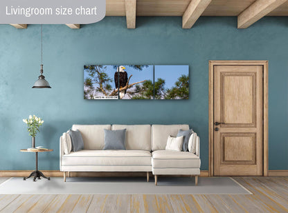 Bald Eagle Photography Print: Voyageurs National Park, Wildlife Art