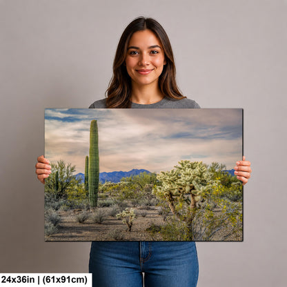 Saguaro and Cholla Desert Landscape, Tucson Arizona Photography Print, Southwest Wall Art, Sonoran Desert Decor