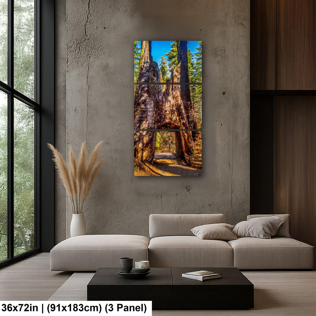 Giant Gateway: Tuolumne Grove Yosemite National Park Photography Wall Art