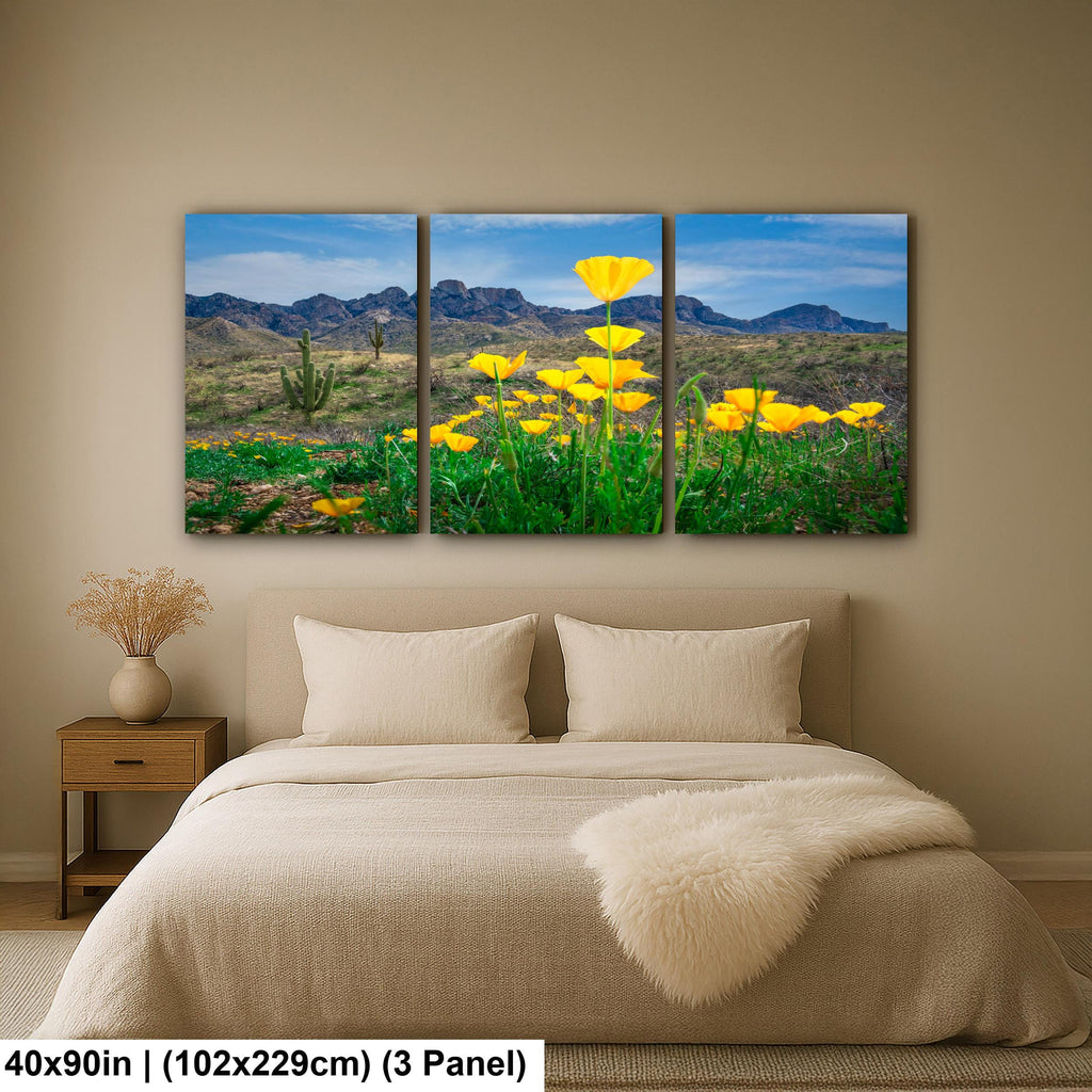 Arizona Poppies in Bloom with Saguaros and Mountains - Catalina State Park Tucson Photography Print