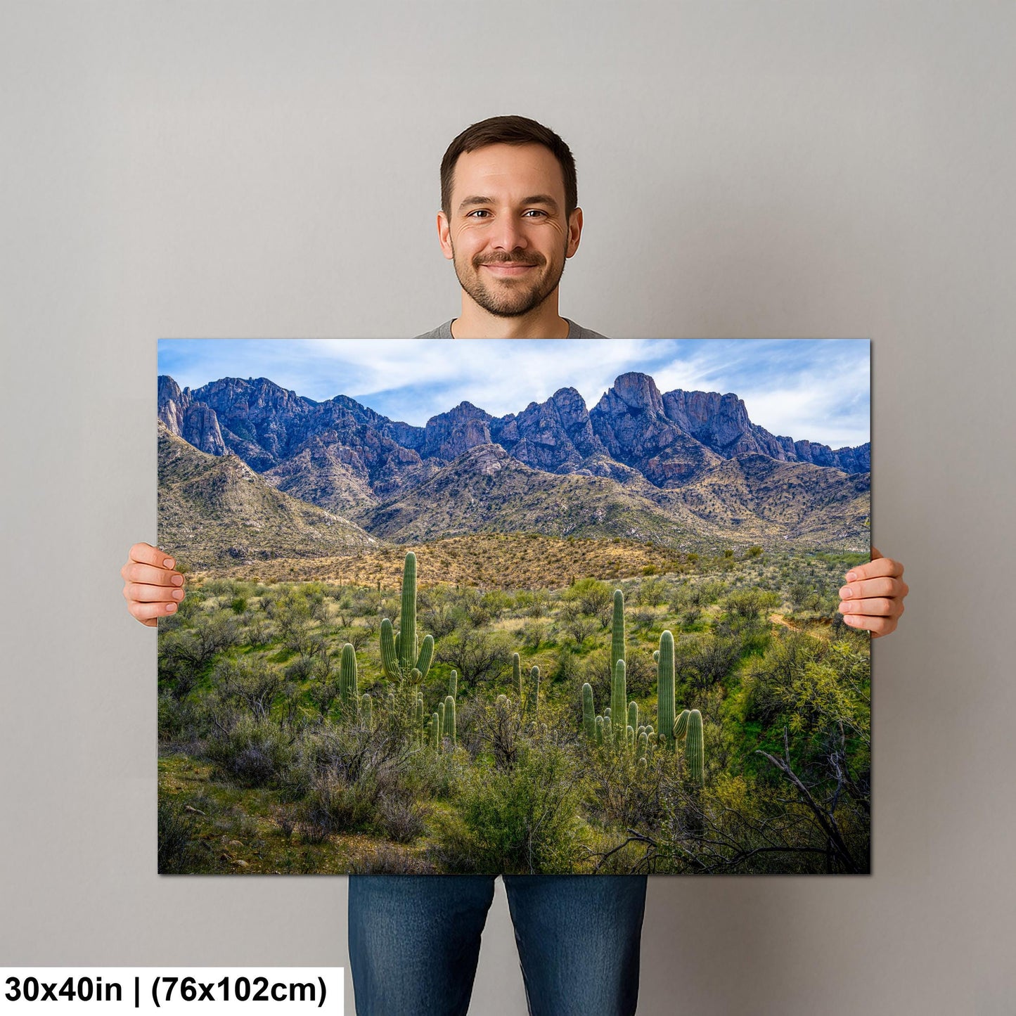 Catalina State Park Saguaros with Rocky Mountain Peaks - Tucson Arizona Sonoran Desert Photography Print