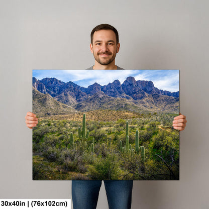 Catalina State Park Saguaros with Rocky Mountain Peaks - Tucson Arizona Sonoran Desert Photography Print