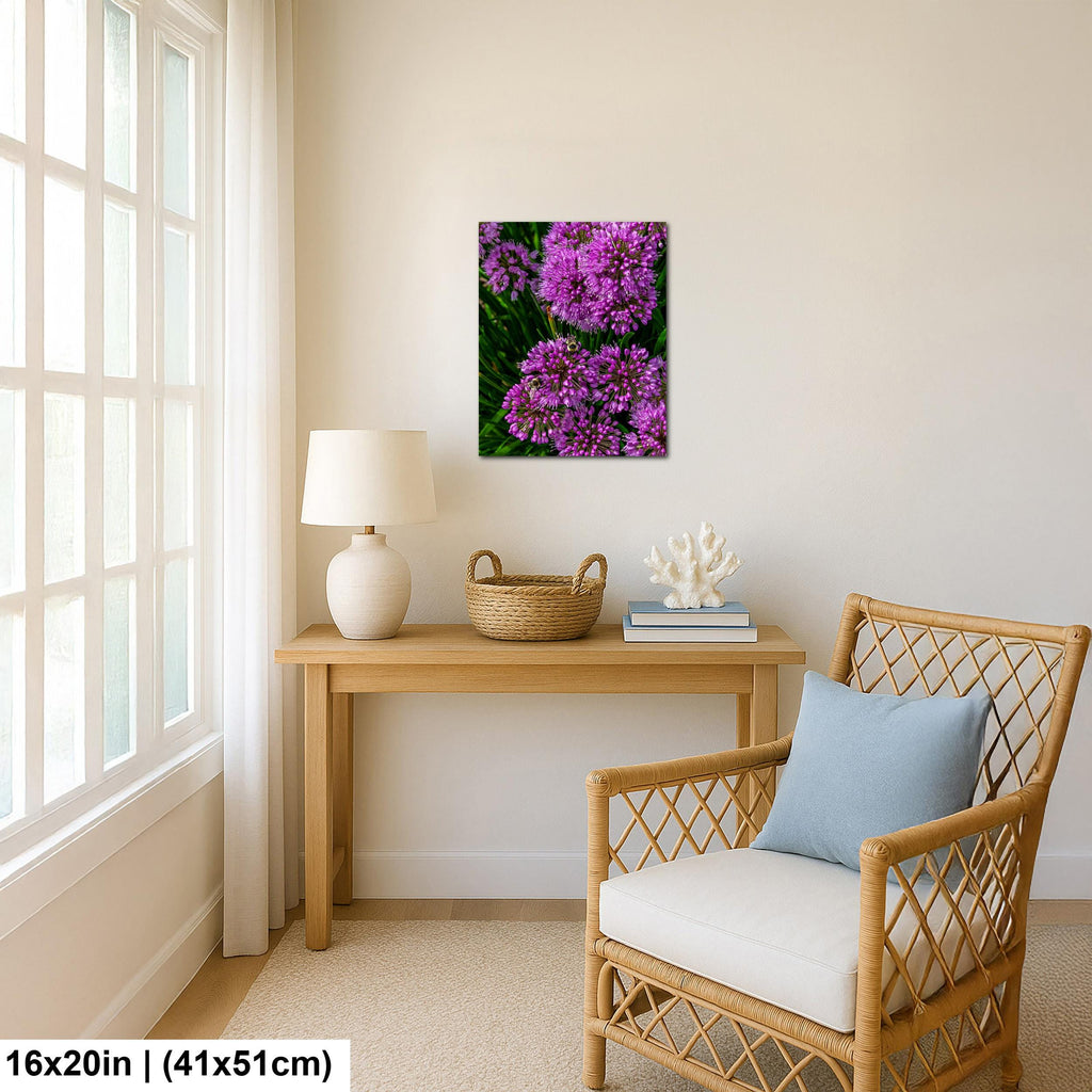 Purple Allium Blooms: Botanical Macro Flower Garden Photography Wall Art