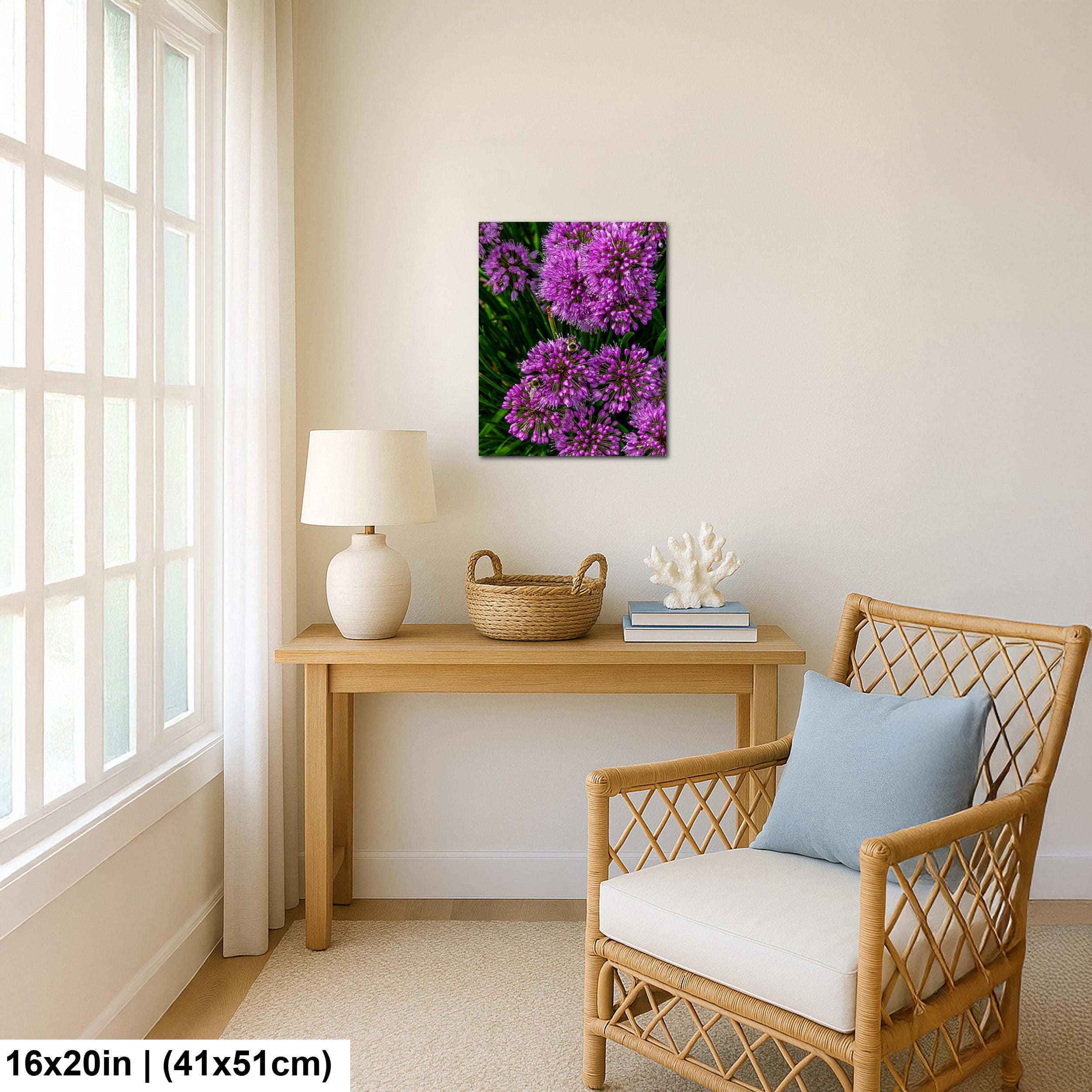 Purple Allium Blooms: Botanical Macro Flower Garden Photography Wall Art