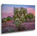 Cholla Cactus Sunset, Lost Dutchman State Park, Apache Junction Arizona Photography Wall Art