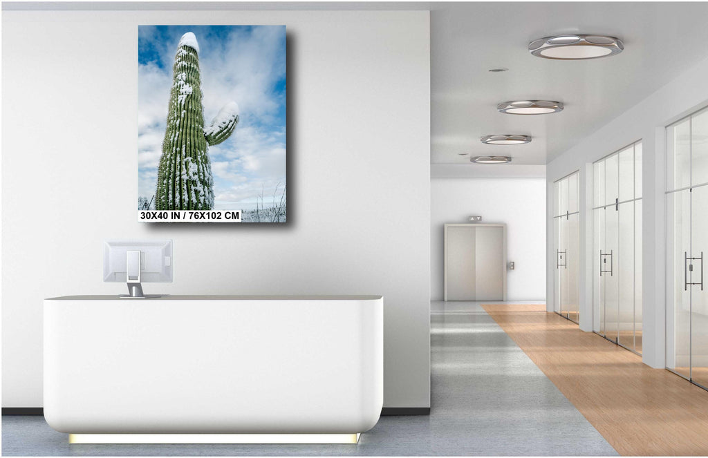 Snowy Saguaro Cactus Print: Arizona Winter Desert Photography