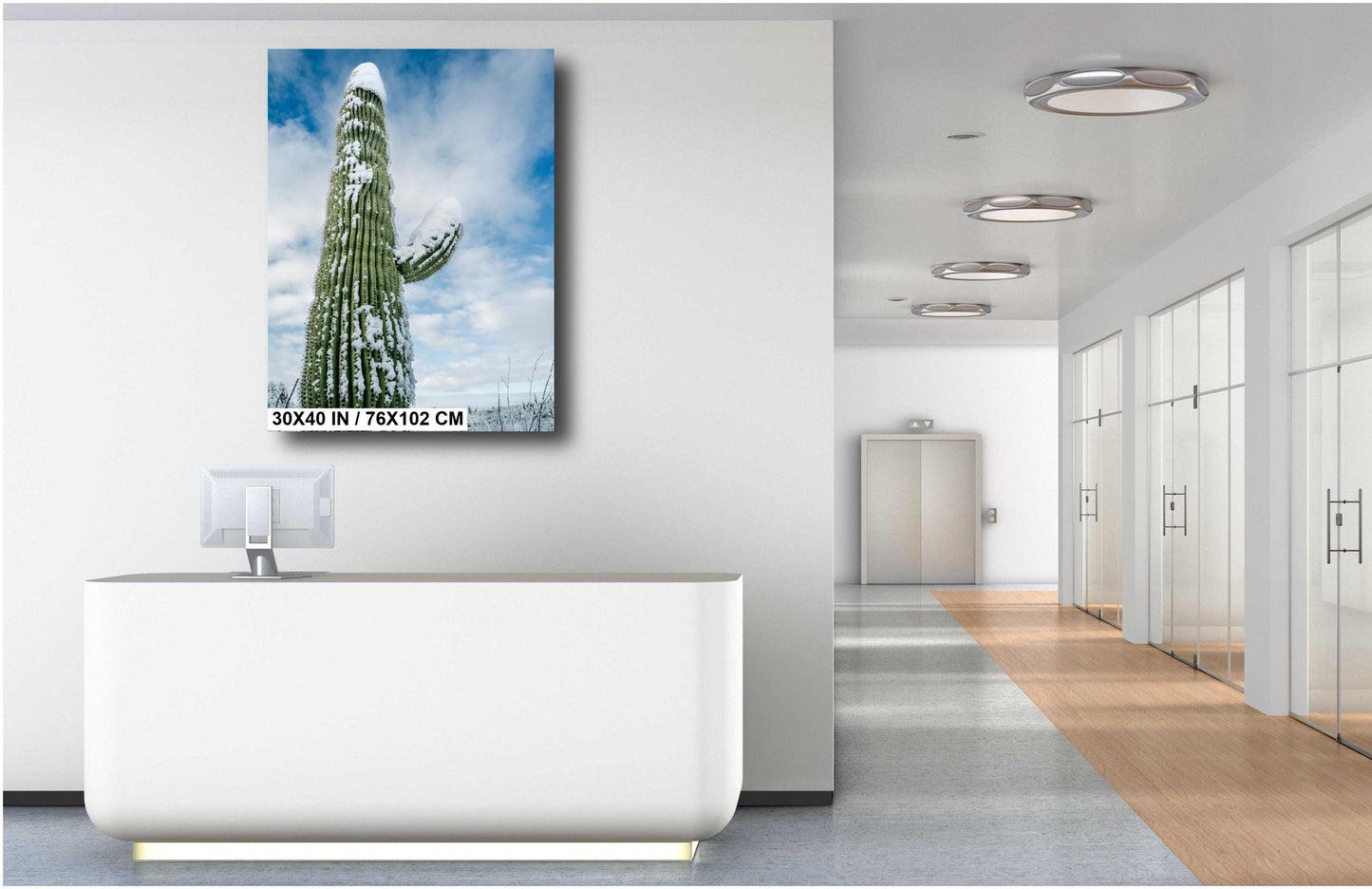 Snowy Saguaro Cactus Print: Arizona Winter Desert Photography