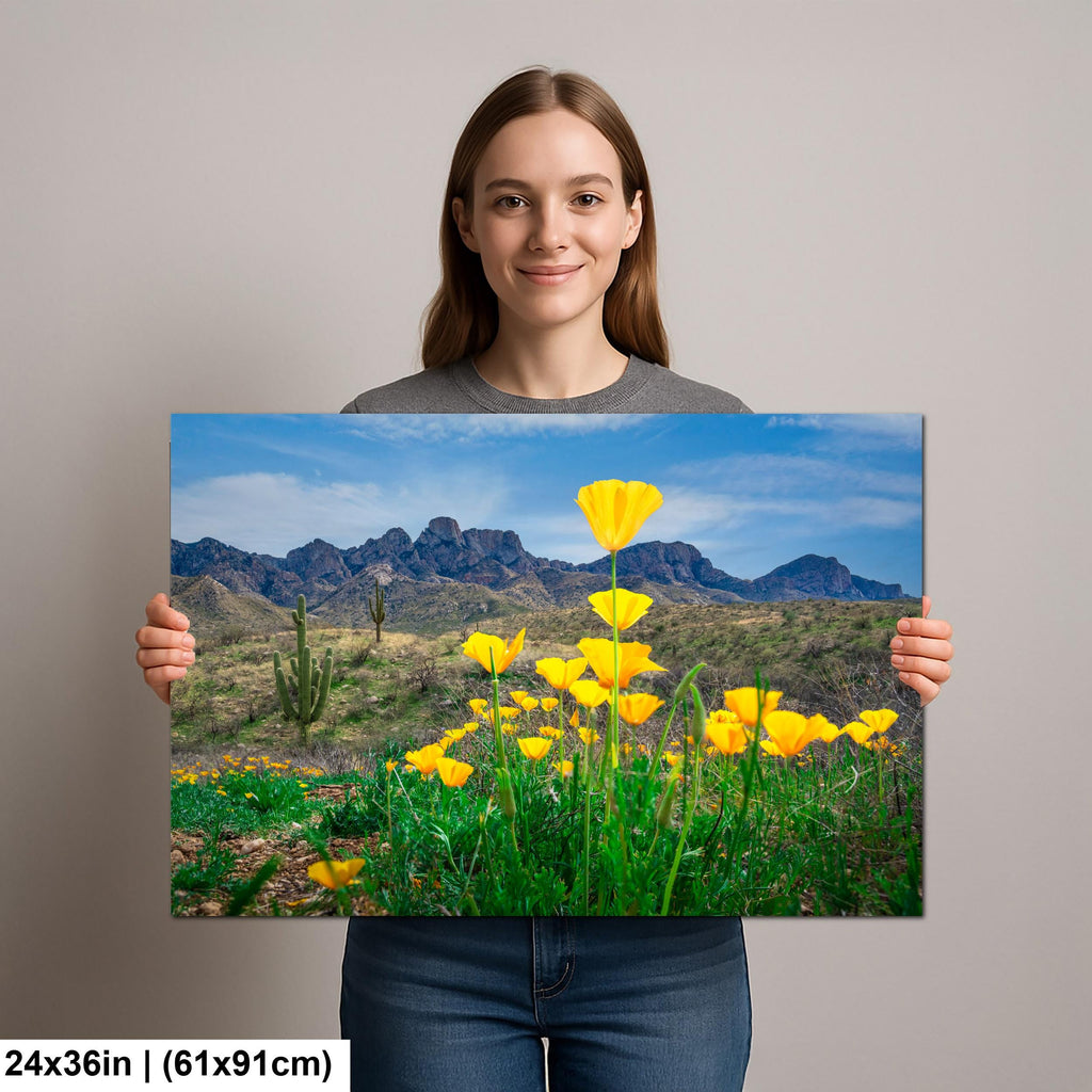 Arizona Poppies in Bloom with Saguaros and Mountains - Catalina State Park Tucson Photography Print