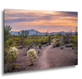 Spring Wildflowers and Saguaros at Sunset, Tucson Arizona Sonoran Desert Photography Print
